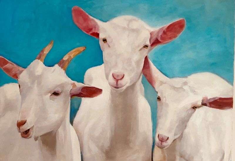 Kursfoto von Christine Weinm&uuml;ller