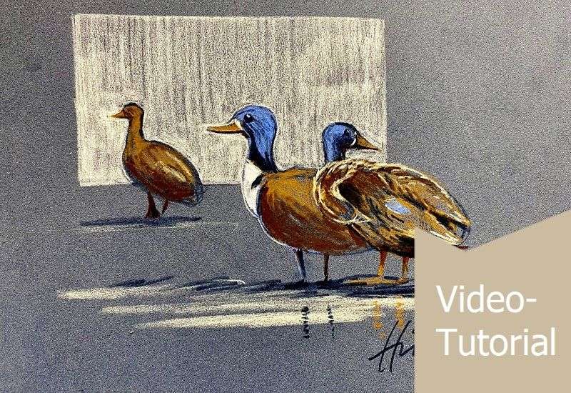 Kursfoto