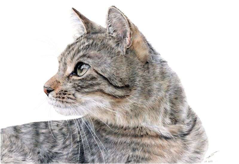 Kursfoto