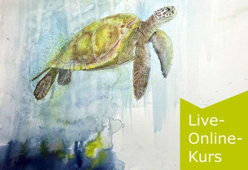 Kursfoto