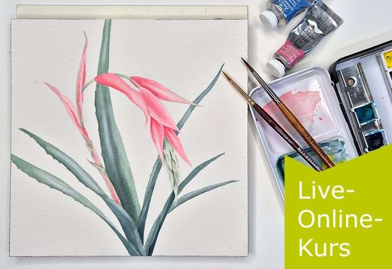 Kursfoto