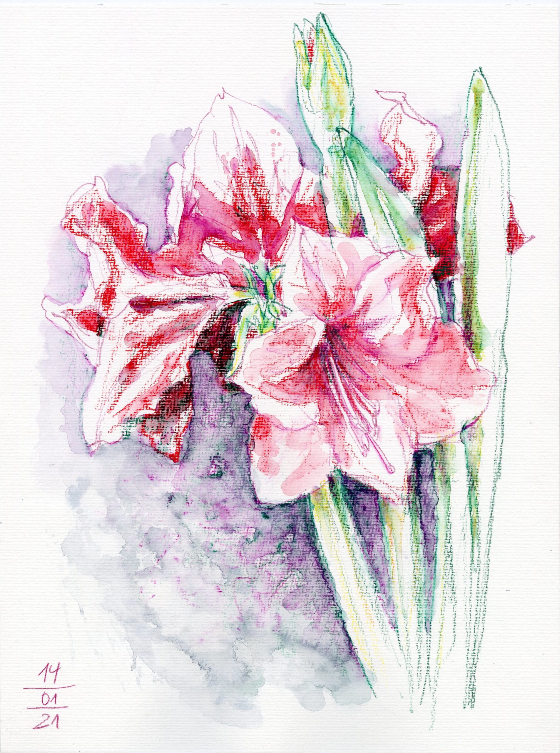 Christian Sanladerer - Blumen 2021